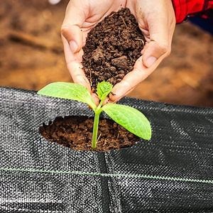 [Hot Item] High-Quality Environmentally Friendly Materials PE Weed Control Mat