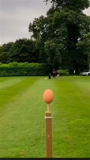 the cyber bug 👨🏻‍💻 🪲 on Instagram: "Backup file access in server 🤔 #CTF #OWASP #cybersecurity #ethicalhacking #thecyberbug_"