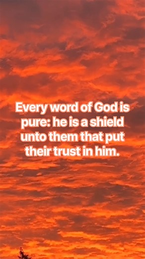 Bible Verse-Proverbs 30:5 #bible #bibleverse #love