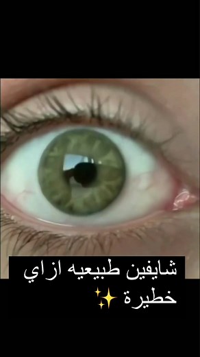 Close-Up of a Stunning Green Eye