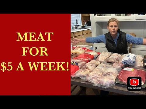 MEAT FOR $5 A WEEK! (2023)