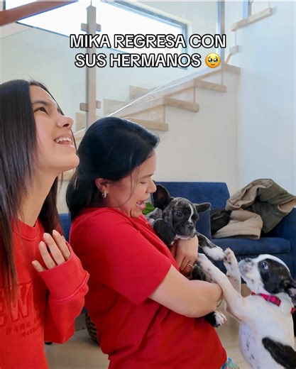 ¡MIKA REGRESA CON SUS HERMANAS! 🥹🐾 #vlog #anaemilia | ana emilia