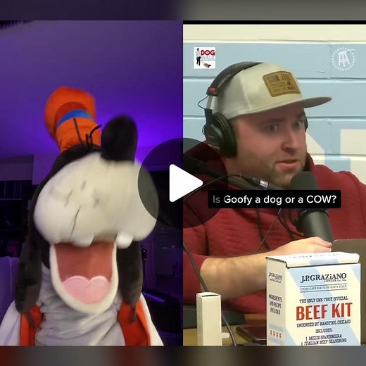 Goofy on TikTok