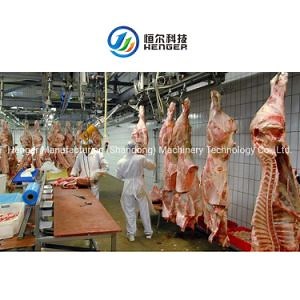 [Hot Item] Ss Halal Slaughter of Pigs, Cattle, Sheep and Poultry Slaughterhouse