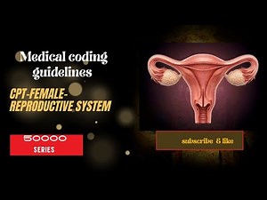 CPT- female reproductive system guidelines