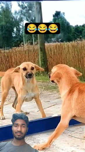 fanny video green screen reaction #shorts