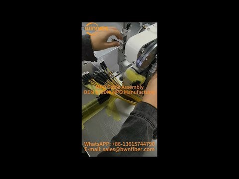 MPO Polarity Control in Manufacturing | Type A, B & C Explained #bwnfiber #mpo #odn #fiberoptic