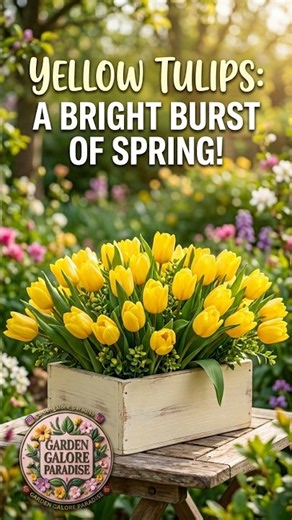 Yellow Tulips: A Bright Burst of Spring #new #plants #flowers #viralshort #like #views #beautiful