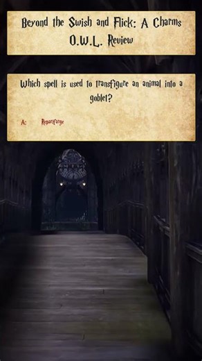 Animal to Goblet: The Transfiguration Test!