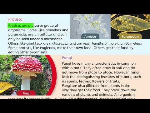 Science Class 5 | Classification of Living Organisms | Exercise