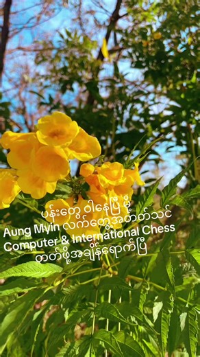 #VoiceEffects ပန်းတွေ ဝါနေပြီ မို့ Aung Myin လက်တွေ့အတတ်သင် Computer & International Chess တတ်ဖို့အချိန်ရောက်ပြီ