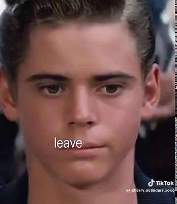 Exploring Ponyboy Curtis and Cherry Valance's Dynamic