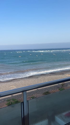 What's going on? Why are there so many seagulls? Can anyone explain this phenomenon? Have they decided to become migratory?🤣#fuerteventura #tiktokviral #travel #viralvideos #tiktoktravel