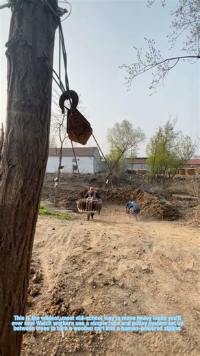 Crazy Human Zipline: Old School Pulley Transport Hack 🚀