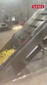 Popcorn Processing Line | Automatic Popcorn Manufacturing Plant