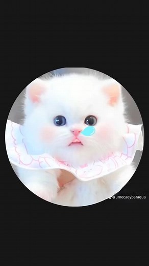 Avatar Vô Tri Cute: Những Hình Ảnh Dễ Thương Nhất