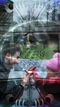 Bootstrap Paradox 📌#shorts #shortsfeed