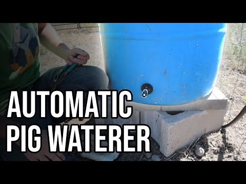 How To Make an Automatic Watering System For Pigs