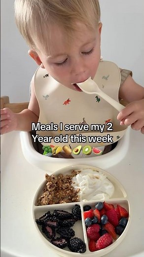 What My 2-Year-Old Actually Ate This Week