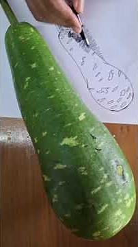 How to Draw a Gourd Step by Step | Easy Drawing Tutorial