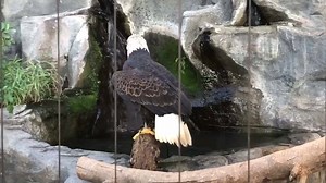 Wait for it... | South Carolina Aquarium