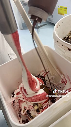 Expande tu Negocio de Paletas con La Michoacana Plus