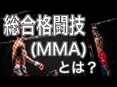 総合格闘技(MMA)の説明！