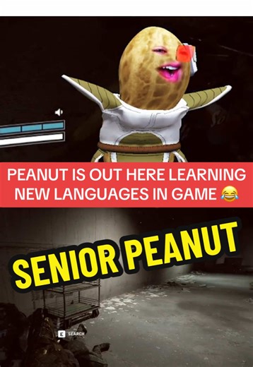 Peanut is out here learning new languages in game! That’s how you do it there Bungulator! 🎬twitch.tv/theburntpeanut @theburntpeanut #theburntpeanutclip #theburntpeanut #theburntpeanutclips #fyp #peanut