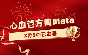 【医学科研1v1指导实录】心血管方向Meta分析学员发表3分SCI，2个月成功接收！【Meta分析数据提取&临床医学&生信入门&医学SCI发表&统计学】_哔哩哔哩_bilibili
