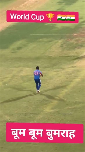 T20 World Cup Champions India #t20 #t20worldcup #t20cricket #t20india #trending #cricket