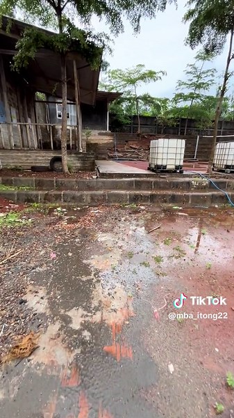 Nggon mu pie lur #pule #trenggalek #volleyballworld #lapangan #voli #kaosvoli #turnamen #fyppppppppppppppppppppppp #xyzbca #bola #desapule