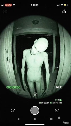 Visitor_01.mp4 #horror #shorts