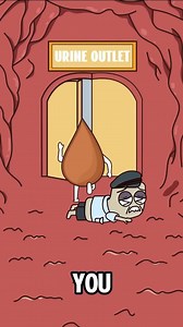 883K views · 1.8K reactions | Why Do People Leak Pee? Urinary...