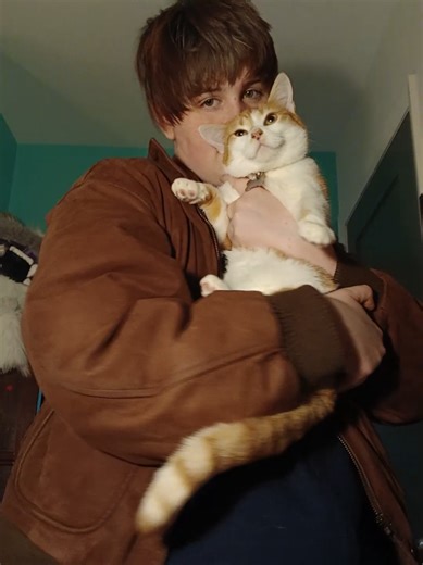 Understanding Cats: Meet Marmalaide from Good Times with Scar
