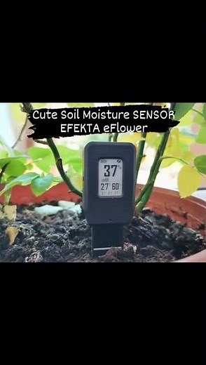 Zigbee soil moisture sensor with e-ink display Efekta eFlower