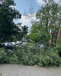 Left Bank Books on Reels