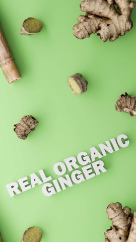 Reed's Real Ginger Ale, Pack of 24 (12 fl. oz. Can each) | Made with Pressed Organic Ginger & Cane Sugar, Natural Ingredients, Caffeine-Free, No Artificial Colors or Preservatives