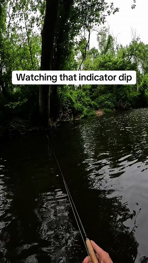 FlyFishDelawhere on TikTok