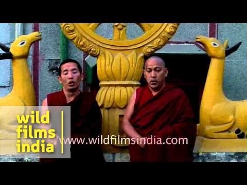Tibetan monks throat-singing - Specialized form of chanting