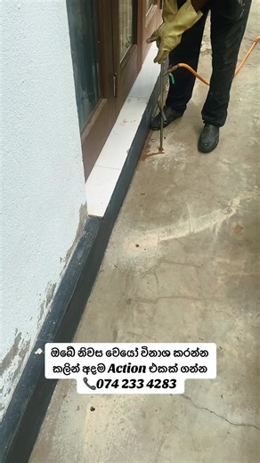 Expert Pest Control Services in Sri Lanka