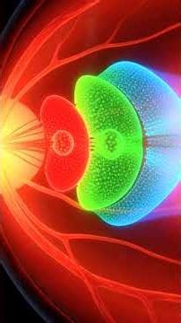 120 Million Cells Working Every Second | Human Eye 3D