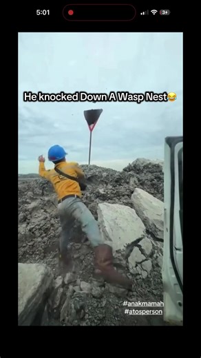 Wasp Nest Removal Gone Wrong: A Close Call