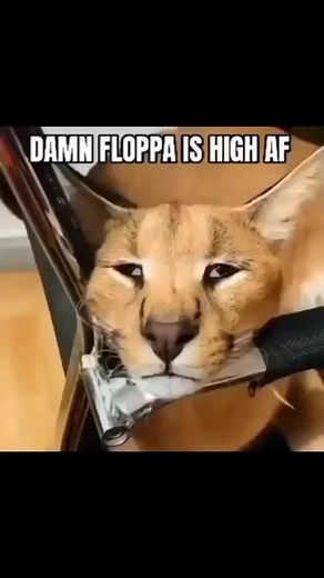 บัญชีที่แนะนำ