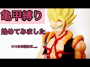 【亀甲縛り】のやり方(kikkoshibari)