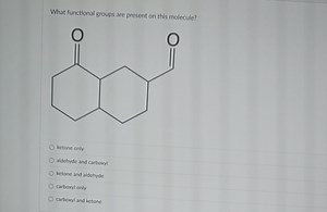 What functional groups are present on this molecule?ketone on... | Filo
