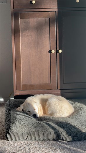 Lindsey on Instagram: "Bunco night is my favorite night of the month!!! It’s such a fun and wholesome time with my girls 🥰 definitely recommend starting a monthly Bunco group if you haven’t already!!!"