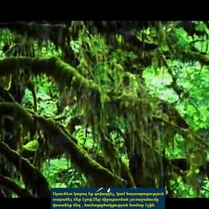 👍👍👍Միացեք մեր էջին👇👇👇 Հայեր ջան սիրով բոլորիդ համար, տարածեք այս գեղեցիկ կատարումը👏❤ | Arm Pop Music