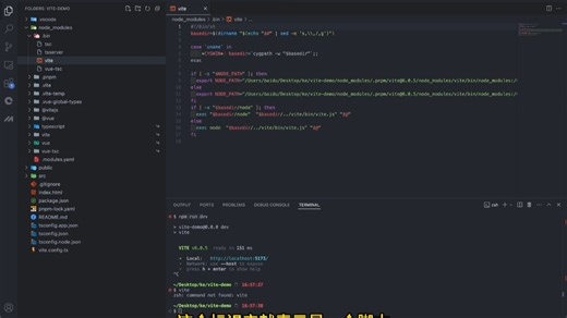 npm run dev 执行机制深度解析