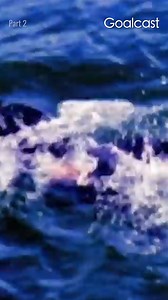 Part 2 of 10: Paul de Gelder's miraculous escape from a shark attack. ▶️Watch the full video here: facebook.com/watch/?v=1310035139472227 #pauldegelder #survivor #sharkattack | Goalcast