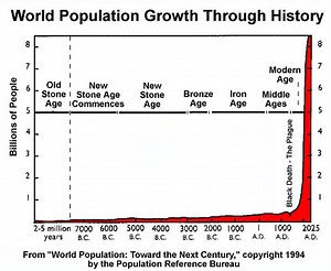 What’s so Sneaky about Exponential Growth?